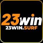 23WIN surf Profile Picture