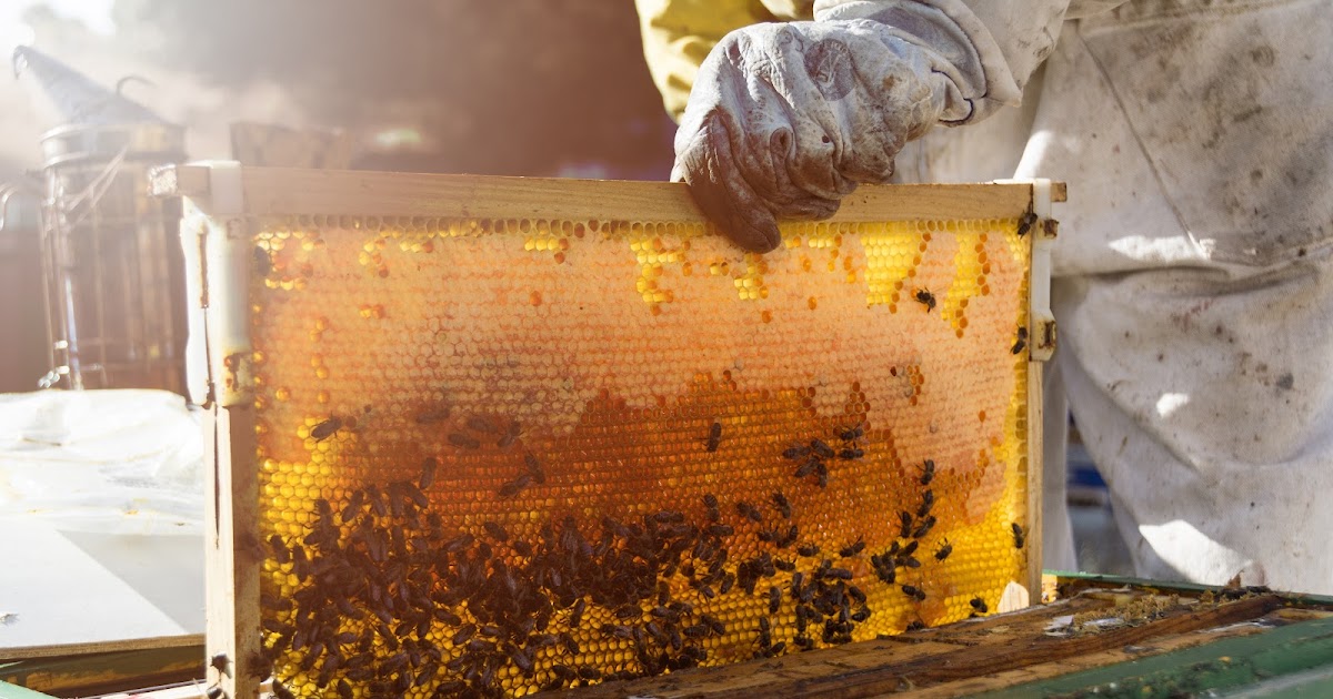 Peter Grubisic: A Trusted Name in Van Sales, Farming, and Beekeeping