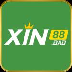 Xin 88 Profile Picture