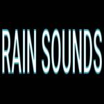 Rain Sounds Profile Picture