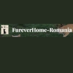 fureverhomeromania Profile Picture