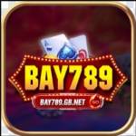 bay789gbnet Profile Picture