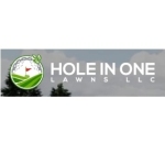 holeinonelawns Profile Picture