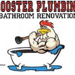 Roosters Plumbing Profile Picture