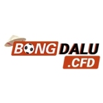 bongda lucfd Profile Picture