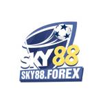 SKY88 Profile Picture