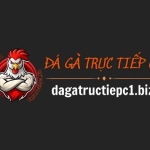 ĐÁ GÀ TRỰC TIẾP C1 Profile Picture