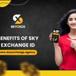 Sky Exchange Profile Picture