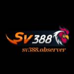 SV388 Profile Picture