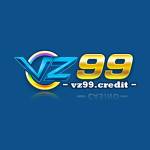 Vz99 Credit Profile Picture