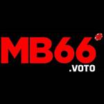 MB 66 Profile Picture