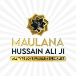 Maulana Hussain Ali Profile Picture