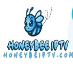 honeybee iptv Profile Picture