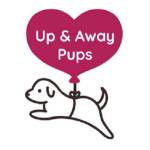 Up & Away Pups profile picture