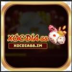 xocdia88im Profile Picture