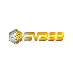 SV368 Profile Picture