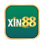 Xin88 Profile Picture