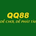 qq88tw Profile Picture