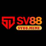SV88 Profile Picture