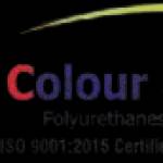 Color Plus Profile Picture