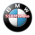 55BMW slot Profile Picture