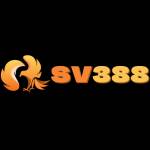 SV388 Profile Picture