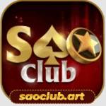 saoclubartvn Profile Picture