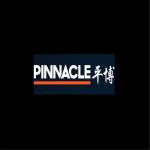 pingbo pro Profile Picture