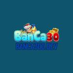 Banca300 Dev Profile Picture