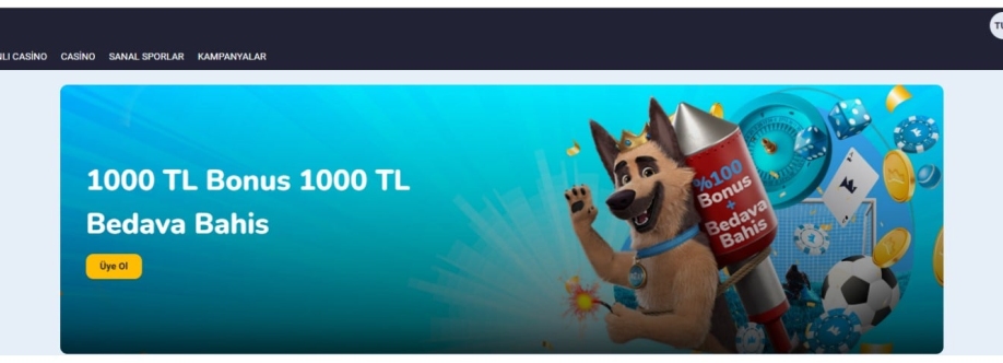 Rexbet GirisTR Cover Image