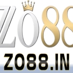 zo88in Profile Picture