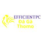 Đá Gà Trực Tiếp Thomo Profile Picture