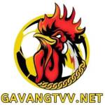 GaVang Profile Picture