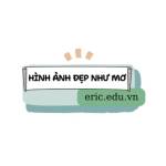 Ericedu Vn Profile Picture