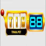 Tin 88 Profile Picture