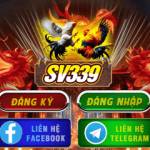 Da ga SV339 Profile Picture
