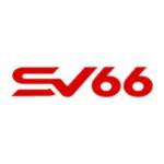 SV66 it com Profile Picture