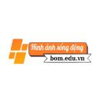 bom eduvn Profile Picture