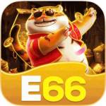 e66 bet Profile Picture