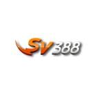 SV388 Profile Picture