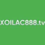 Xoilac1 TV Profile Picture