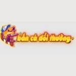 banca doithuong Profile Picture
