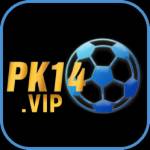 pk14 vip Profile Picture