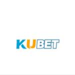 KUBETT NET Profile Picture