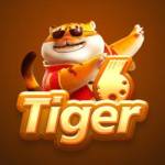 6 tiger Profile Picture