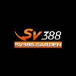 sv 388 Profile Picture