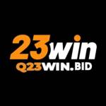 Q23Win Bid Profile Picture