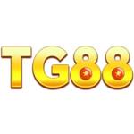 tg888co com Profile Picture