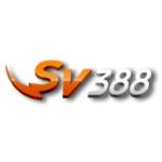 Nhà cái SV88 Profile Picture