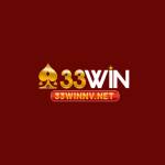 33winv net Profile Picture